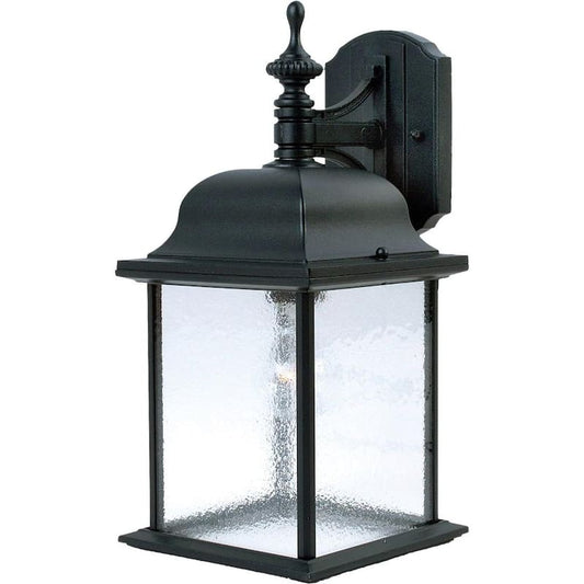 Senator 1-Light Black Outdoor Wall Lantern Sconce