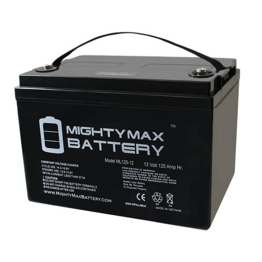 12-Volt 125 Ah Rechargeable Sealed Lead Acid (SLA) Battery