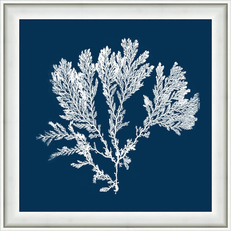 18 in. x 18 in. Navy Coral IFramed Giclee Print Wall Art