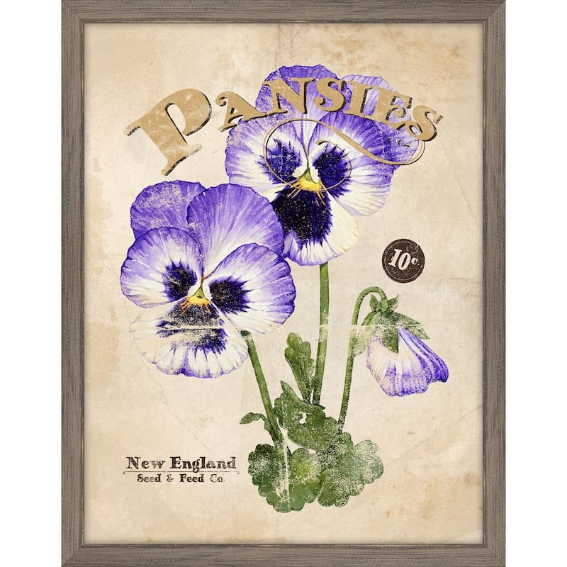 Seed Packet Pansies Framed Giclee Vintage Art Print 15 in. x 19 in.