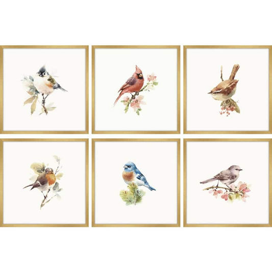 Watercolor Songbirds - Set of 6-Framed Giclee Bird Art Print 15 in. x 15 in. each