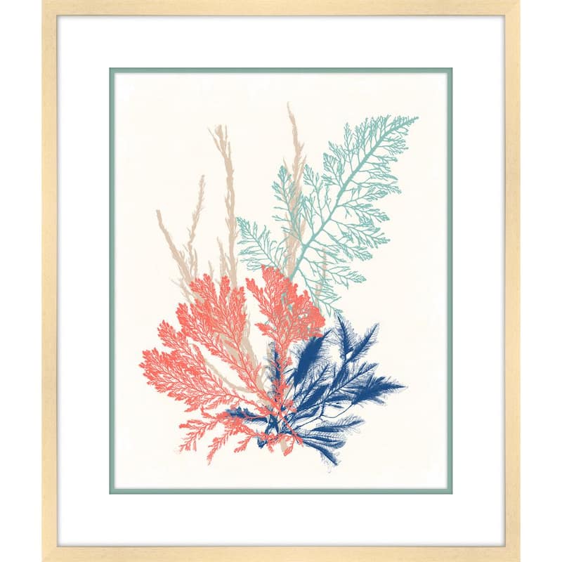 Sea Grass Collage III Framed Giclee Coastal Art Print 23 in. x 27 in.