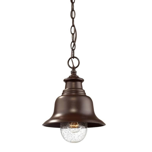 1-Light 9 in. Wide Powder Coated Bronze Outdoor Mini Pendant with Glass Shade